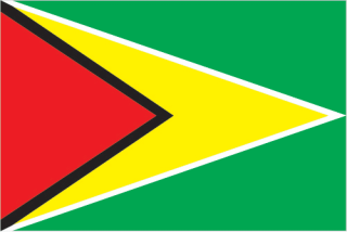 National flag of Guyana