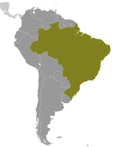 LOCATOR Map of Brazil