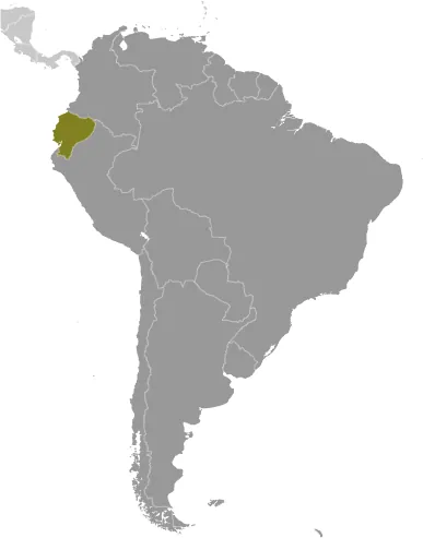 LOCATOR Map of Ecuador