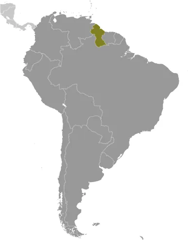 LOCATOR Map of Guyana