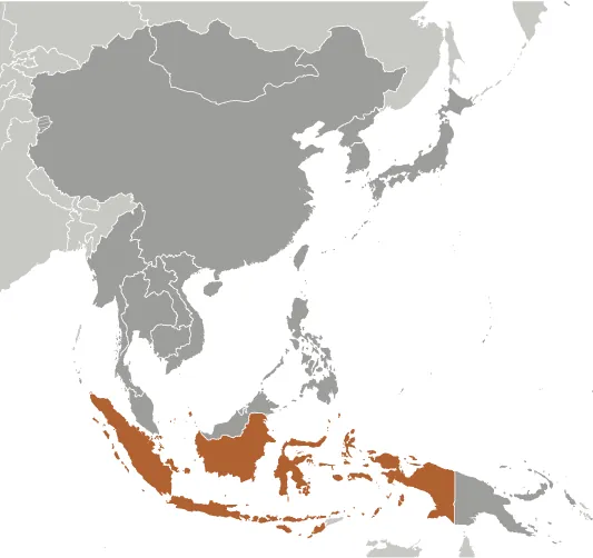 LOCATOR Map of Indonesia