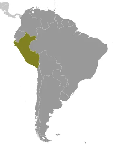 LOCATOR Map of Peru